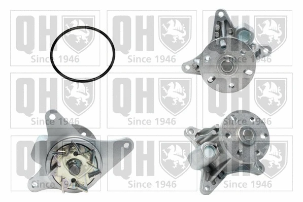 Pompe à eau, refroidissement du moteur QUINTON HAZELL QCP3683
