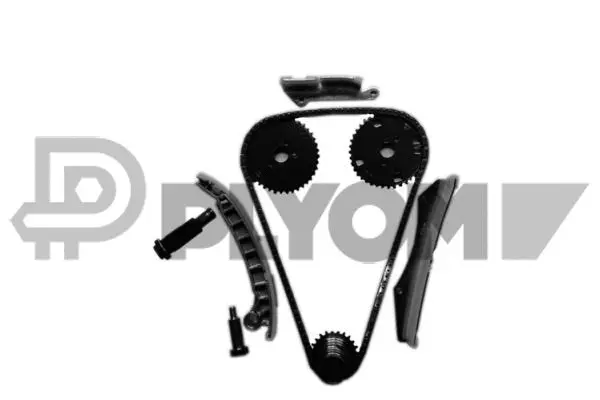 Kit de distribution par chaîne PLYOM P752111