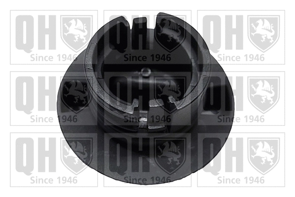 Bouchon, goulotte de remplissage d'huile QUINTON HAZELL FC584