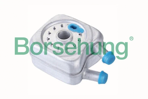 Radiateur d'huile Borsehung B14498