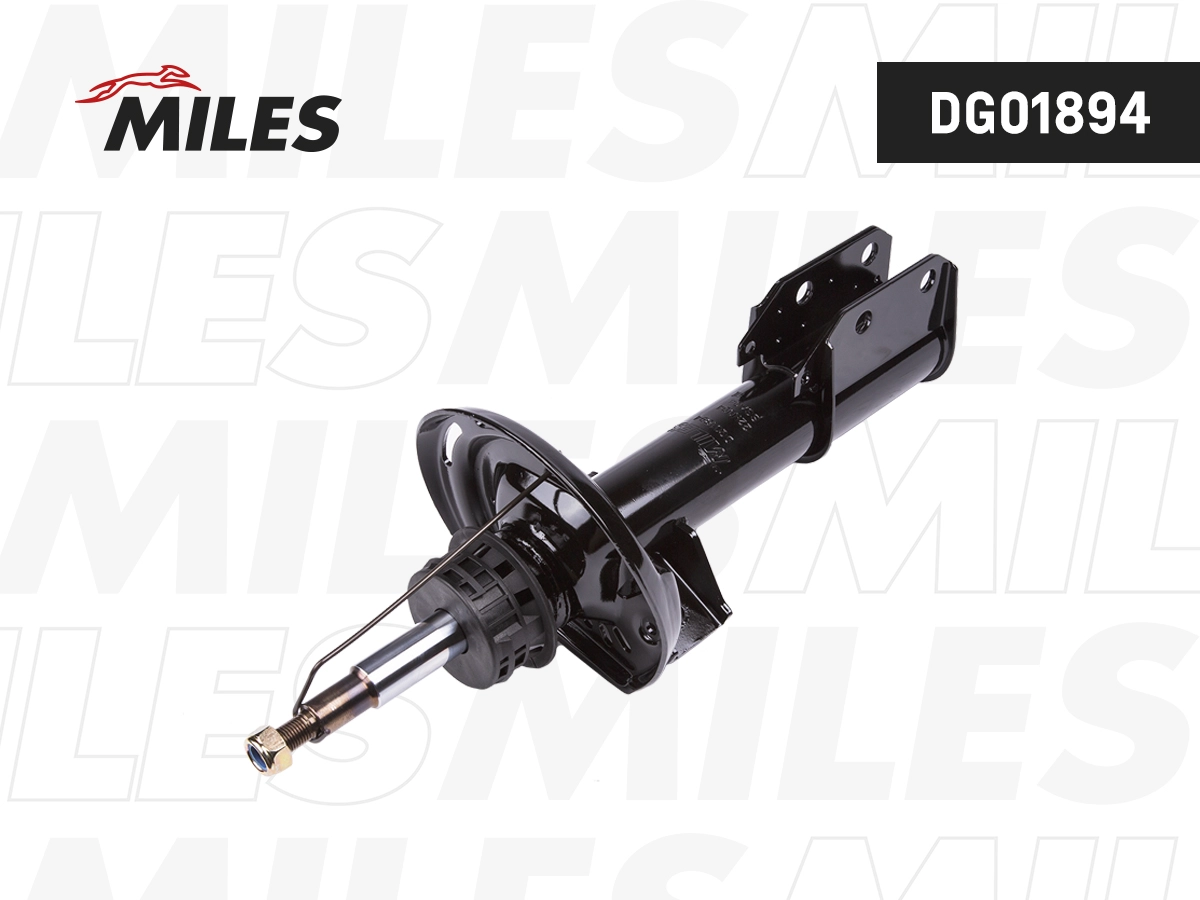 Amortisseur MILES DG01894