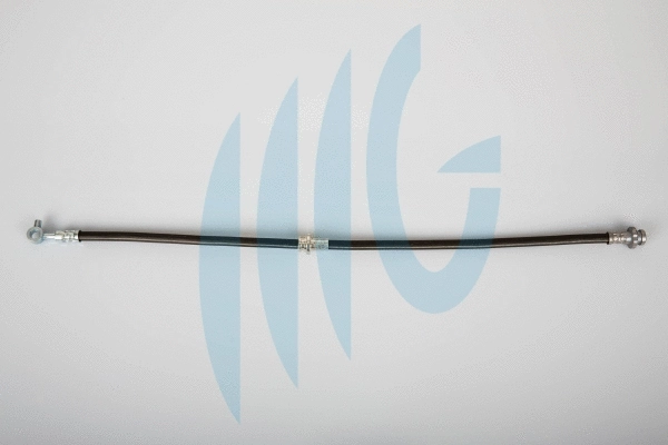 Flexible de frein RICAMBIFLEX GM 02101152