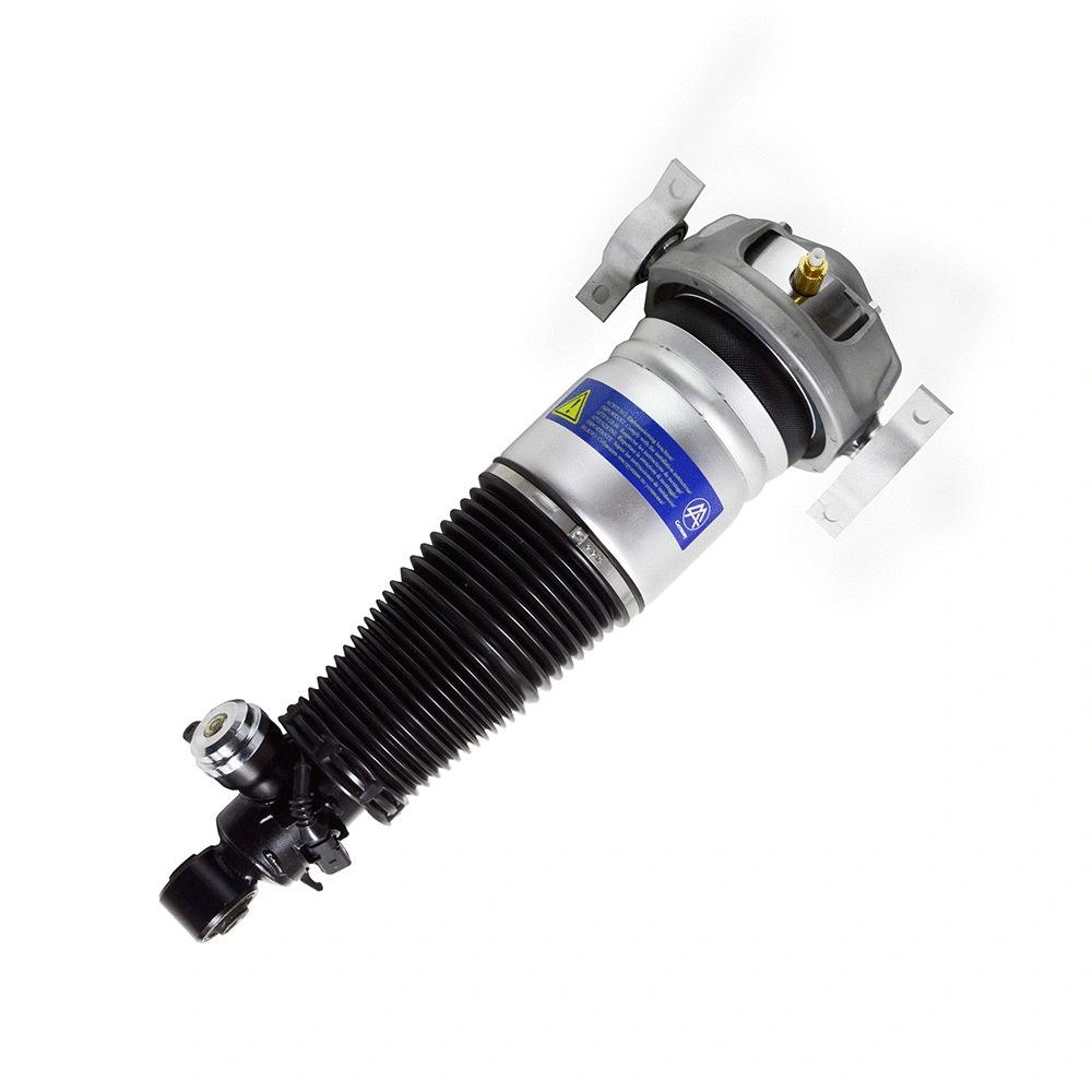 Armortisseur pneumatique Miessler Automotive 1163-01-3420