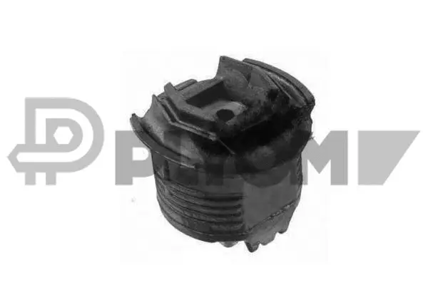 Suspension, corps de l'essieu PLYOM P755680