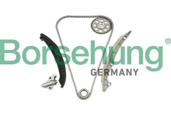 Kit de distribution par chaîne Borsehung B18960