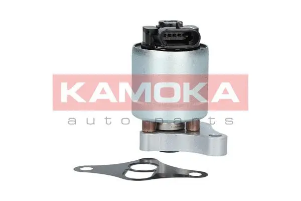 Vanne EGR KAMOKA 19002