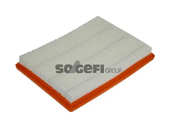 Filtre à air FRAM CA9838