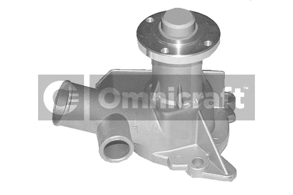 Pompe à eau, refroidissement du moteur Omnicraft 2317399