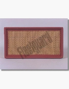 Filtre à air FLEETGUARD AF25256