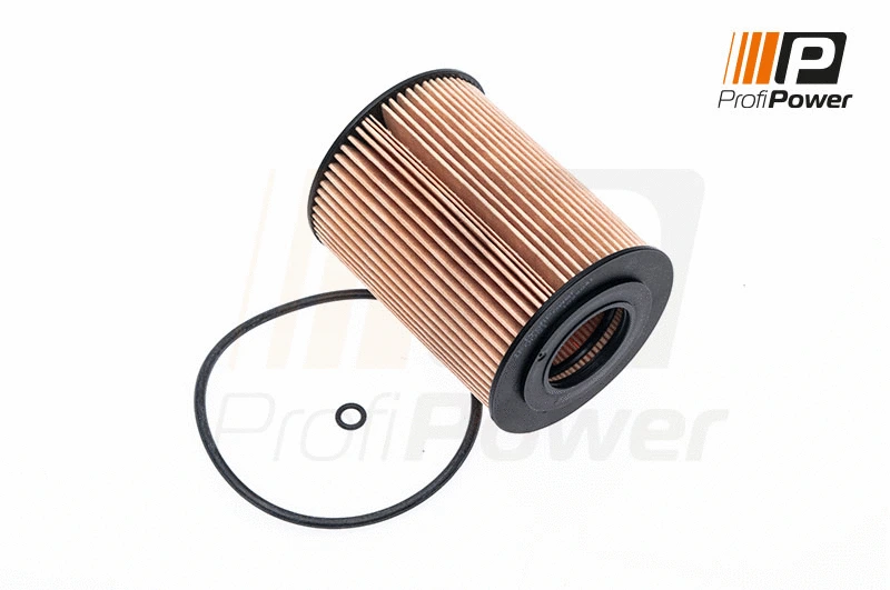 Filtre à huile ProfiPower 1F0081