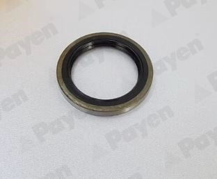 Bague d'étanchéité, moyeu de roue PAYEN NJ474