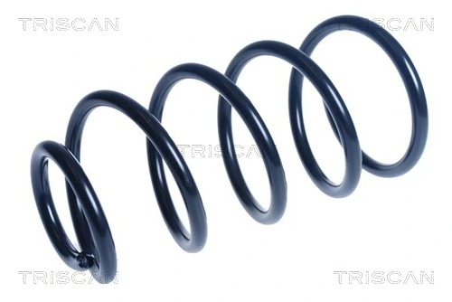 Ressort de suspension TRISCAN 8750 16185