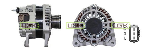 Alternateur LGK 446557