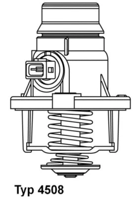 Thermostat, liquide de refroidissement BorgWarner (Wahler) 4508.101D