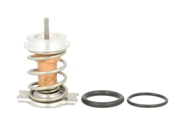 Boîtier du thermostat THERMOTEC D28001TT
