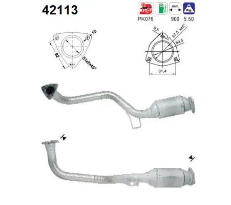 Catalyseur AS 42113
