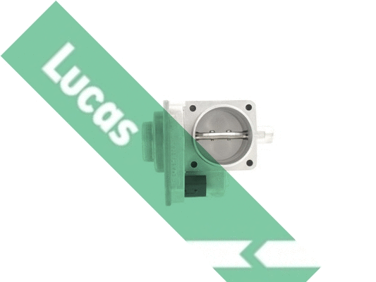 Corps papillon LUCAS LTH446