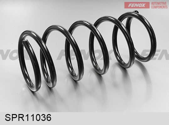 Ressort de suspension FENOX SPR11036