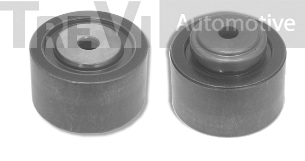 Poulie renvoi/transmission, courroie crantée TREVI AUTOMOTIVE TD1324