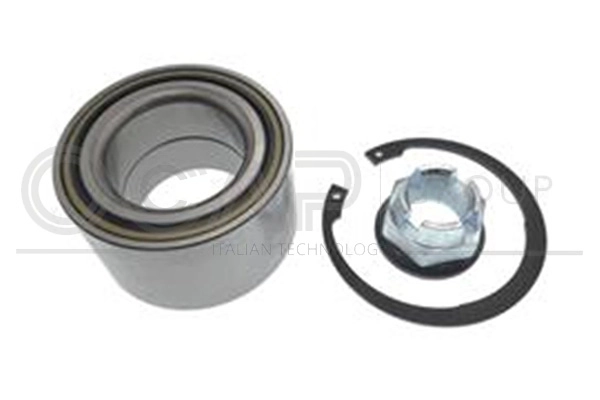 Kit de roulements de roue OCAP 6120133