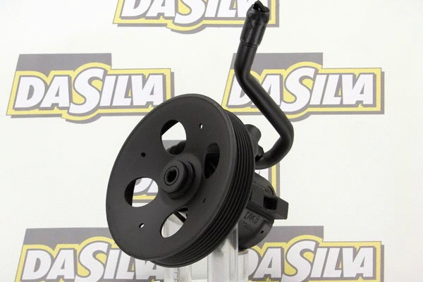 Pompe hydraulique, direction DA SILVA DP2931