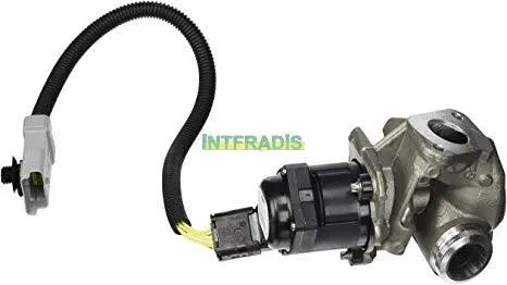 Vanne EGR INTFRADIS 2561