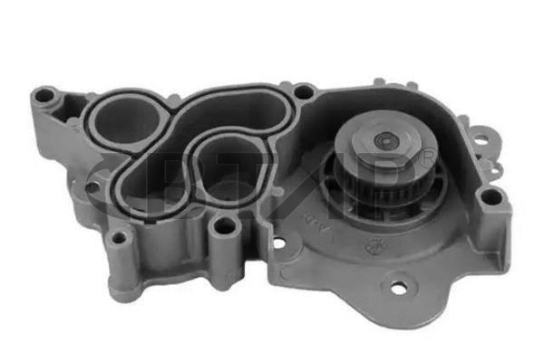 Pompe à eau, refroidissement du moteur BTAP BVE901-011