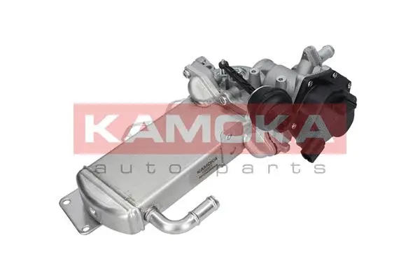 Module-EGR KAMOKA 19067