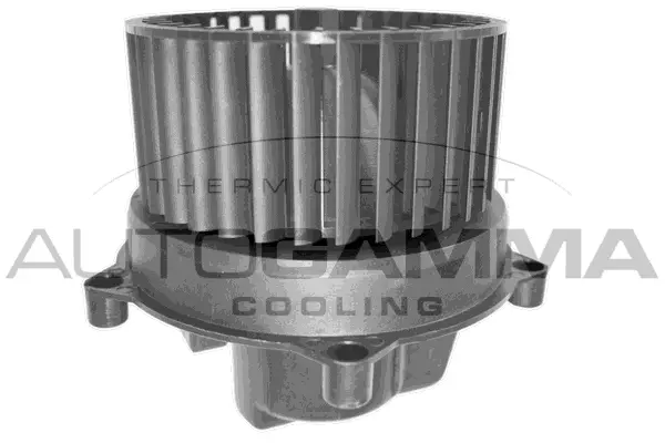 Pulseur d'air habitacle AUTOGAMMA GA31004