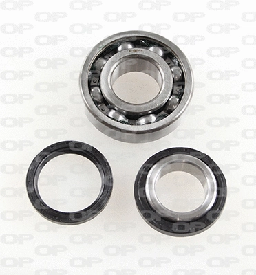Kit de roulements de roue OPEN PARTS HBK5170.00