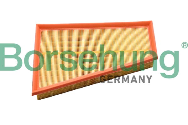 Filtre à air Borsehung B12397