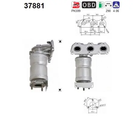 Catalyseur AS 37881