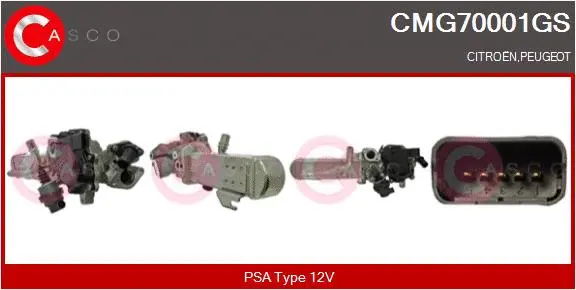 Module-EGR CASCO CMG70001GS