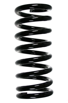 Ressort de suspension SPIDAN 48798