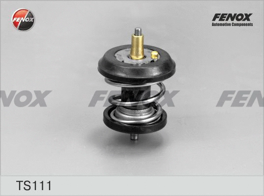 Thermostat, liquide de refroidissement FENOX TS111