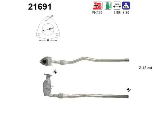 Catalyseur AS 21691