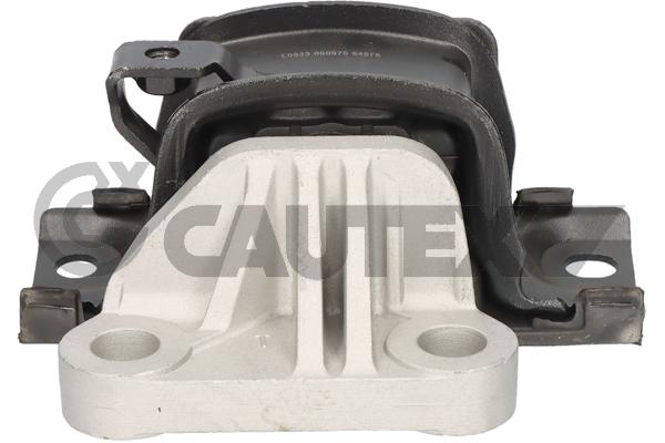 Suspension, boîte de vitesse manuelle CAUTEX 776586