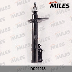 Amortisseur MILES DG21213