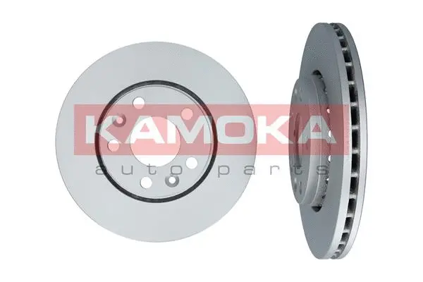 Disque de frein KAMOKA 1031043