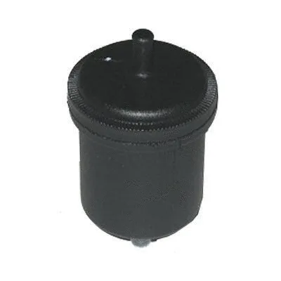 Filtre à carburant FI.BA FB-2