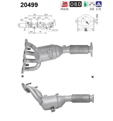 Catalyseur AS 20499