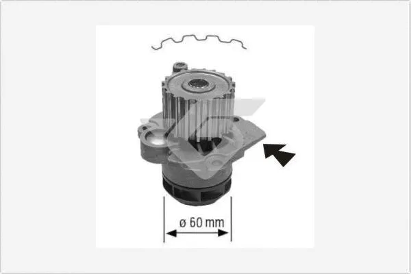 Pompe à eau, refroidissement du moteur HUTCHINSON WP58