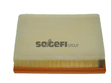 Filtre à air FRAM CA10446
