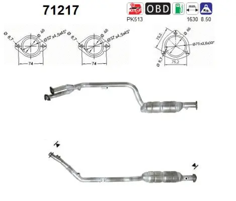 Catalyseur AS 71217