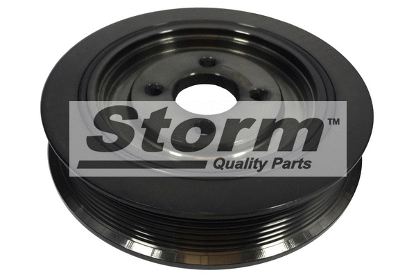 Radiateur, refroidissement du moteur STORM QUALITY PARTS 10215