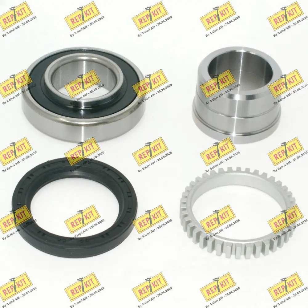 Kit de roulements de roue REPKIT RKB1896