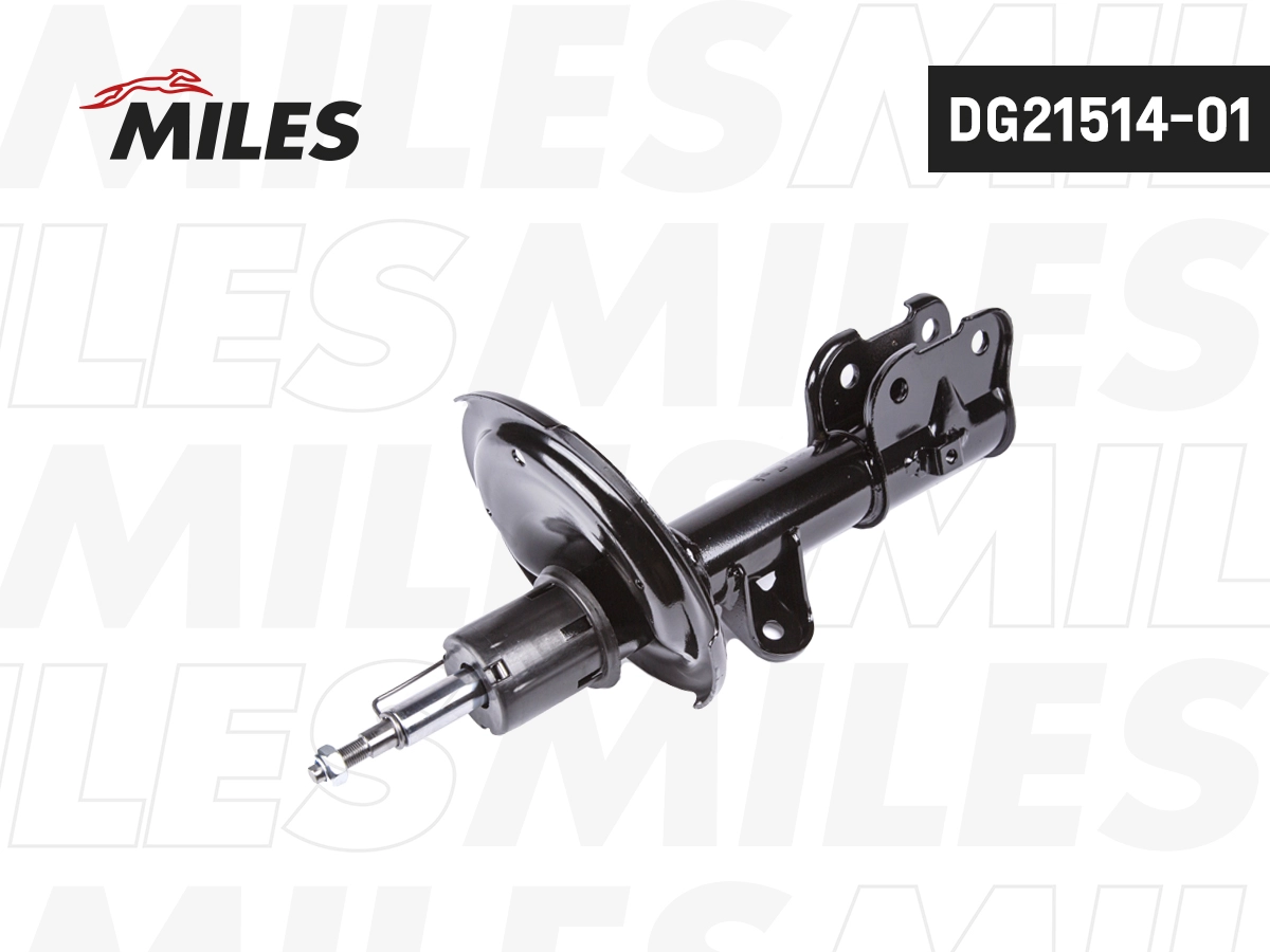 Amortisseur MILES DG21514-01