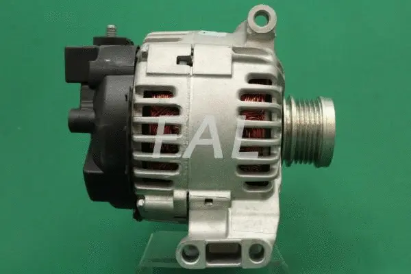 Alternateur FAL Anlasser- und Lichtmaschinenservice F000662/1