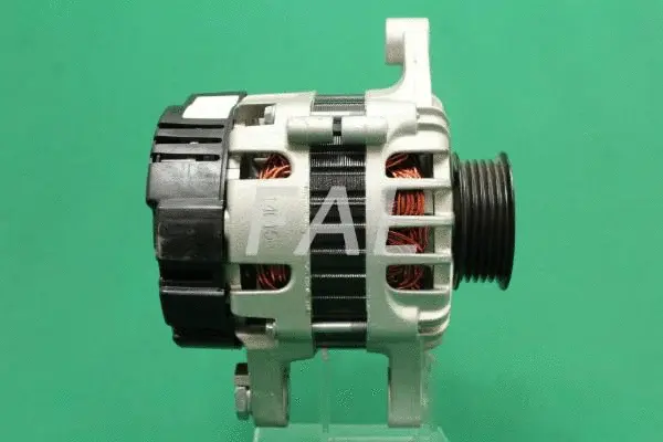 Alternateur FAL Anlasser- und Lichtmaschinenservice F011024/1