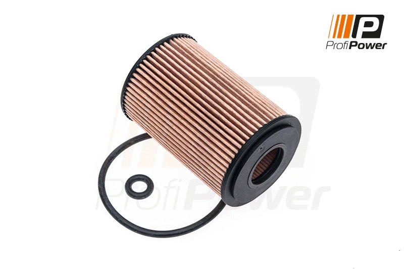 Filtre à huile ProfiPower 1F0091
